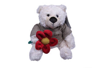 200548/9-F Мишка Этан в свитере с цветком ( 23 см)